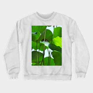 Lotus Leaves Crewneck Sweatshirt